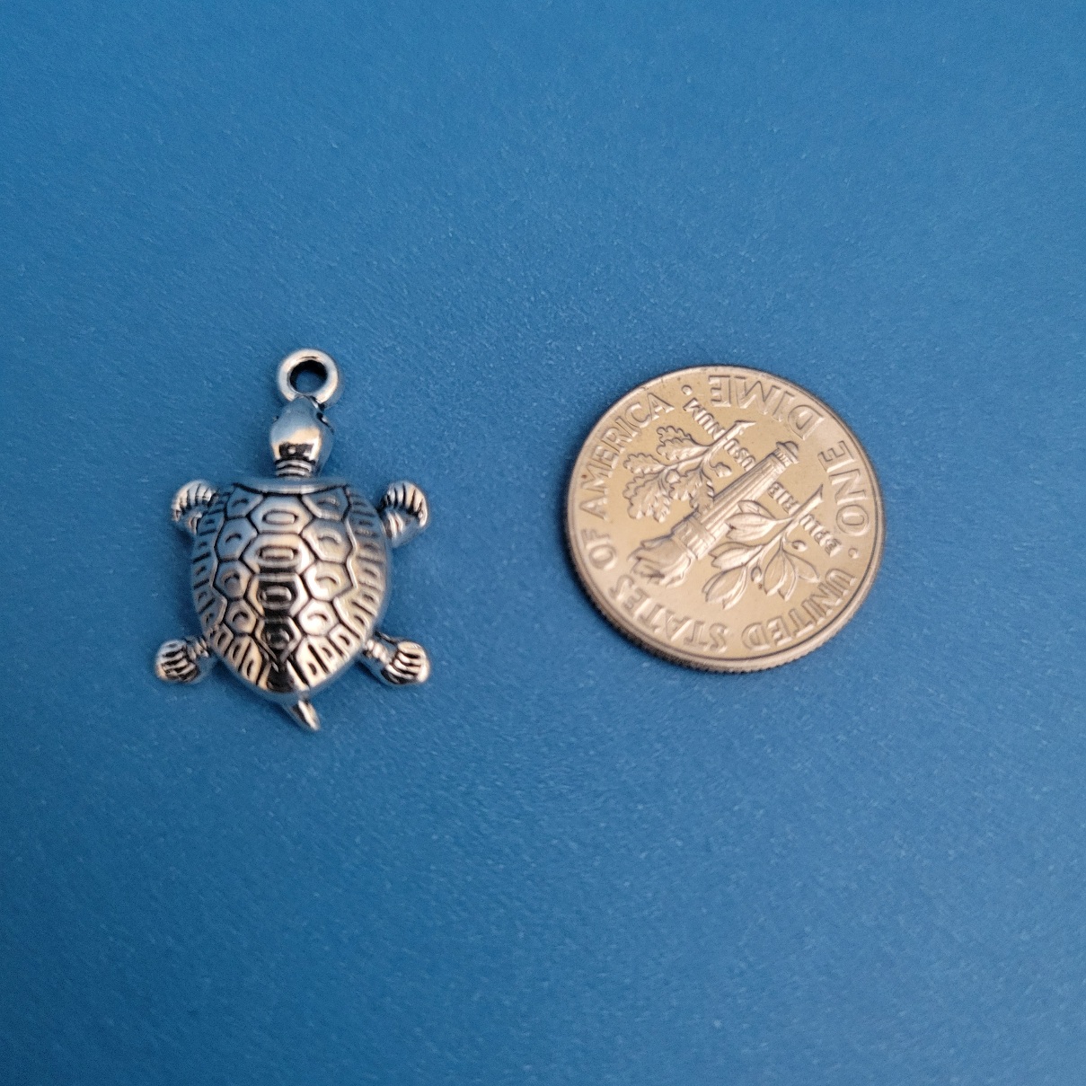 BABY TURTLE31
