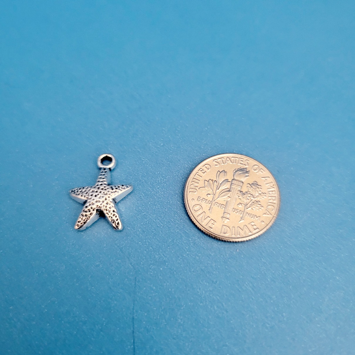 BABY STARFISH36