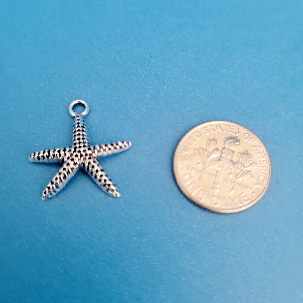 LARGE STARFISH49