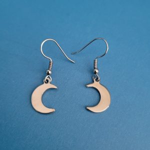 Stainless Steel Stellar Crescent Moon Earrings