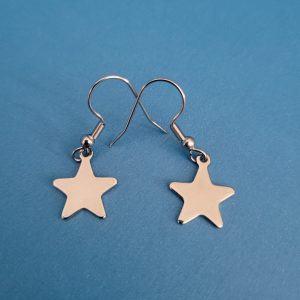 Stainless Steel Stellar Star Earrings