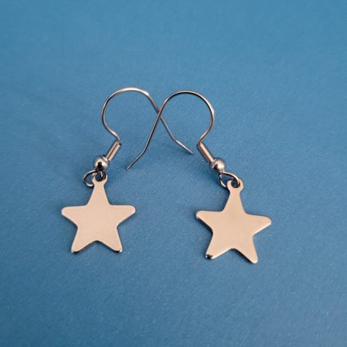 Stainless Steel Stellar Star Earrings
