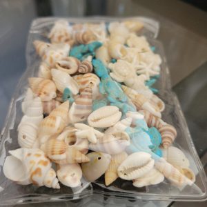 Closeout - Bag Of Sea Shells And Turquoise Charms