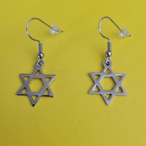 Jewish Star Of David Stainless Steel Earrings