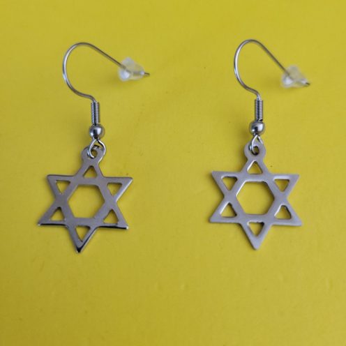Jewish Star Of David Stainless Steel Earrings